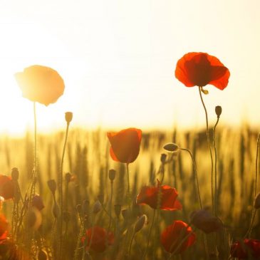 Поминать ушедших 🌾