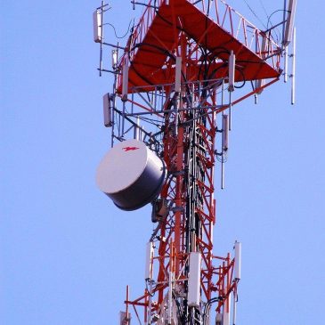 5G и иммунитет 2020