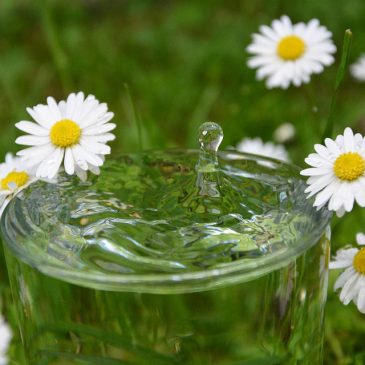Устройство для получения воды из воздуха