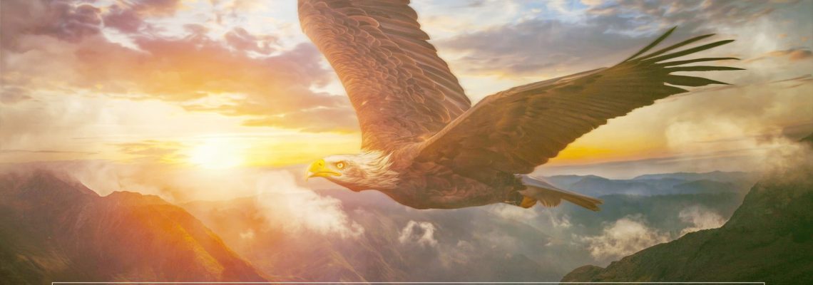 Разумное Человечество поздравляет Андрея, участника проекта Реконструкция, с Днём Рождения!