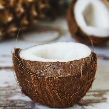 Удивительный кокос🥥