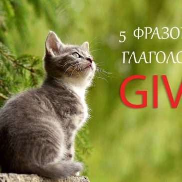 5 фразовых глаголов с GIVE
