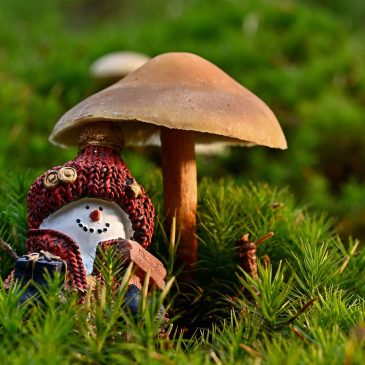 5 секретов позитивного мышления
