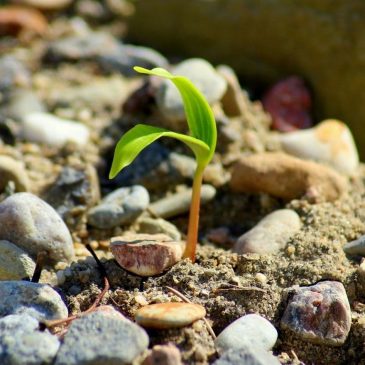 Тяжёлое время заканчивается 🌱