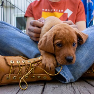 История успеха Timberland