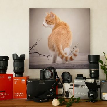 История компании SONY