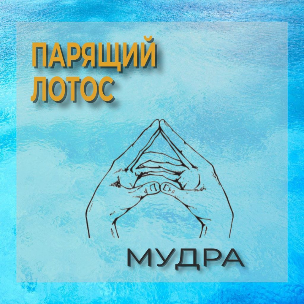 парящий лотос. мудра лотос от женских болезней. мудра лотоса от одиночества. парящий лотос. аюрведа мудры.
