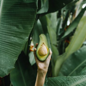 Авокадо — фрукт 🥑