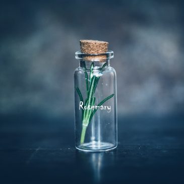Сила лекарственных трав 🌿
