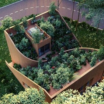 Сады на крышах🌳🍎🏢