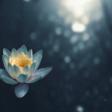 Ахимса – принцип ненасилия 🧘‍♀️🕊