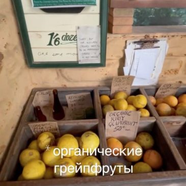 Необычные фермерские лавки в Австралии
