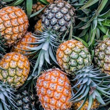 Экокожа из растений 🍌🌴
