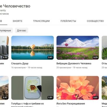 Где посмотреть видео Разумного Человечества?