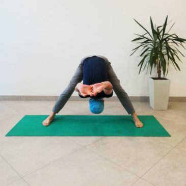 Хатха-йога для начинающих 🧘‍♀️