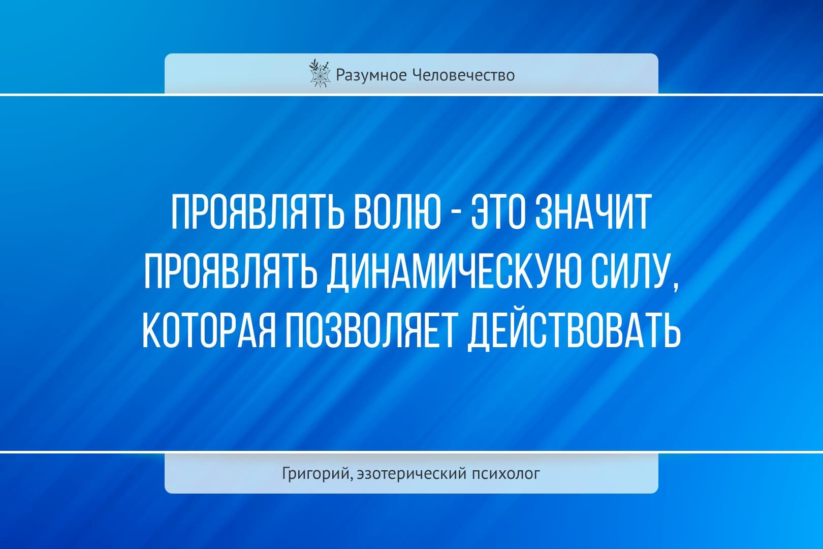 Цитаты