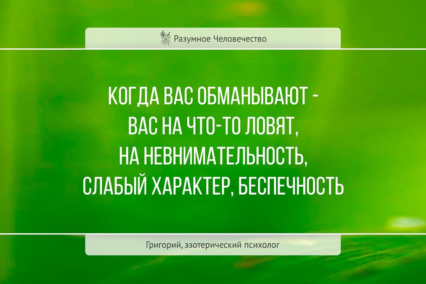 Цитаты