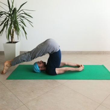 Хатха-йога для начинающих 🧘‍♀️