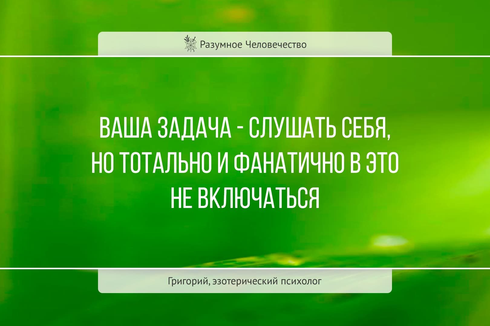 Цитаты