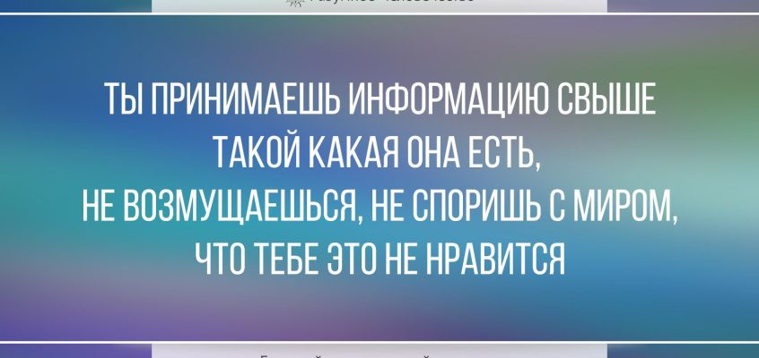 Цитаты