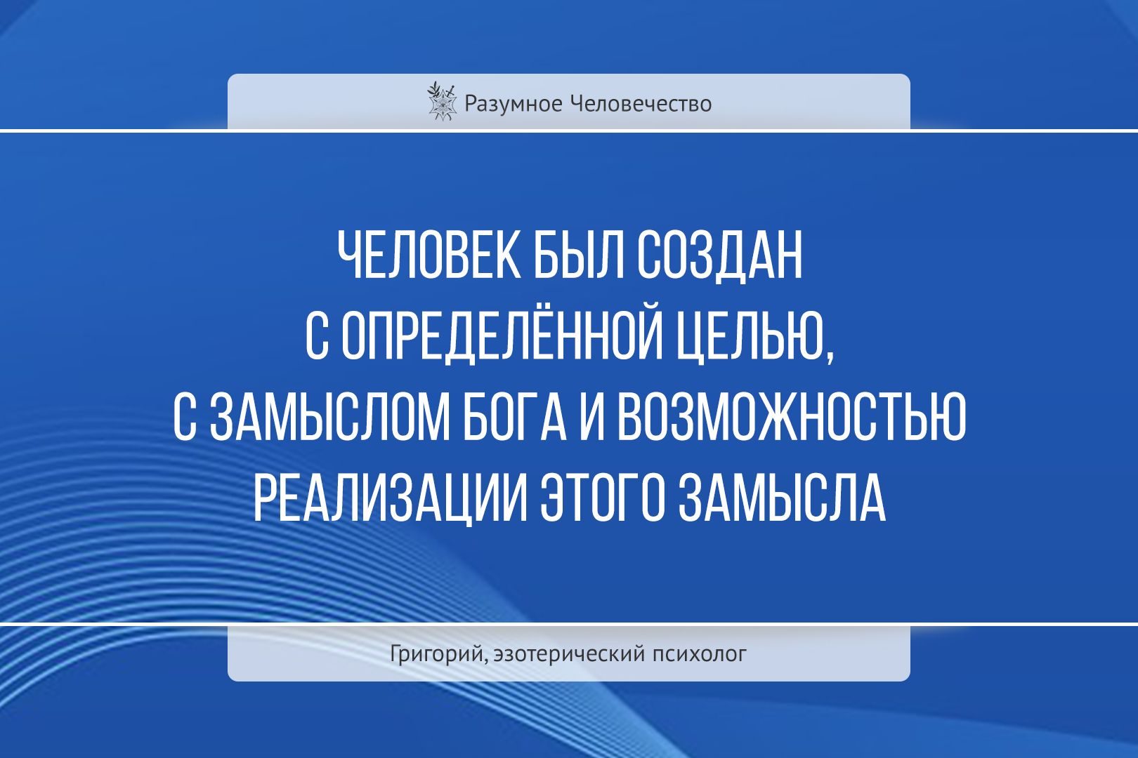 Цитаты