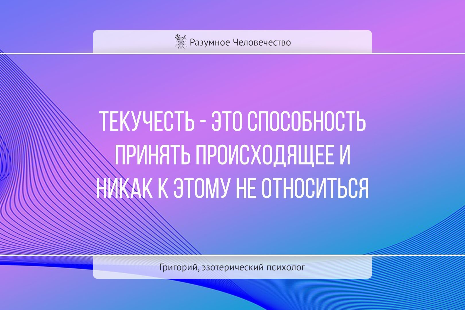 Цитаты