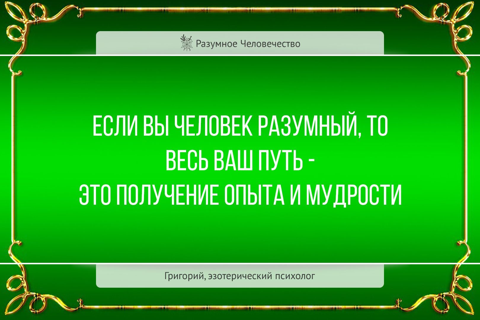 Цитаты
