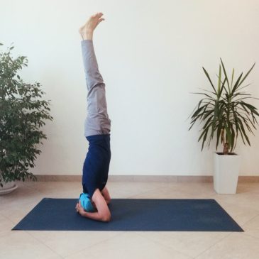 Занятие в стиле Аштанга-йога виньяса 🧘‍♀️