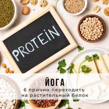 6 причин переходить на растительный белок