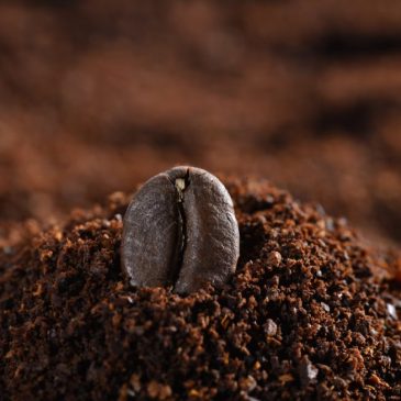 Цемент из кофейных зерен ☕️