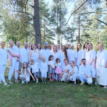 Мнение сущностей тонкого плана о проекте Реконструкция 🧘‍♂️