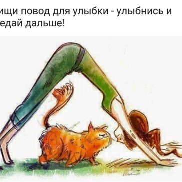 Йога юмор