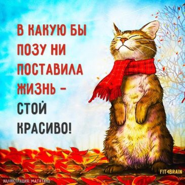 Йога юмор