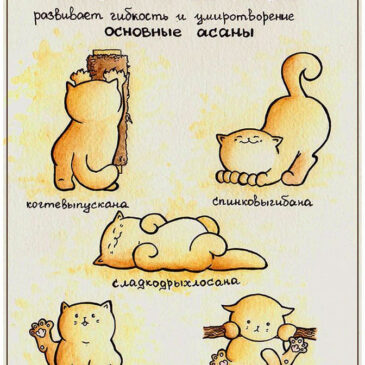 Йога Юмор