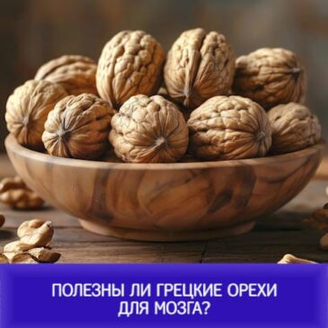 Полезны ли грецкие орехи для мозга?