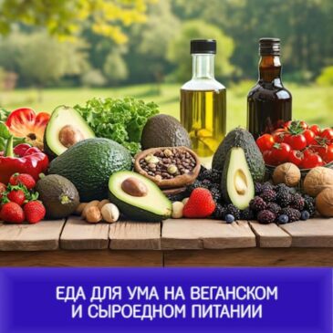 Еда для ума на веганском и сыроедном питании