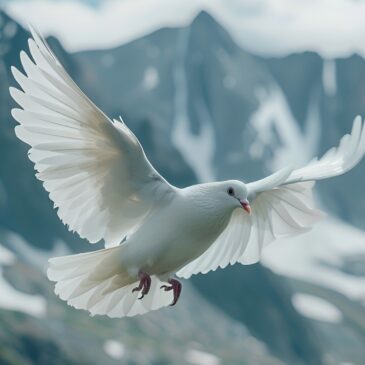 Знакомим вас с пятой темой лекций семинара Внутренняя Свобода. Глубокое Понимание  21 ноября — 5 декабря 2025