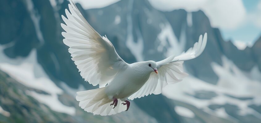 Свобода Духа И Личной Силы