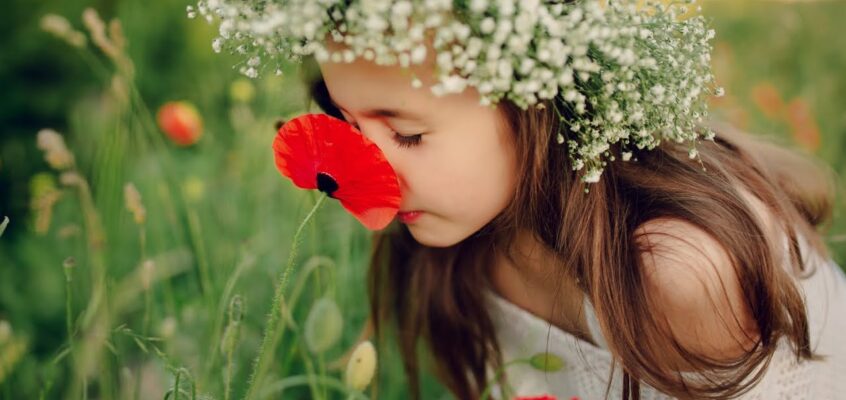 5 видео Разумного Человечества об аллергии