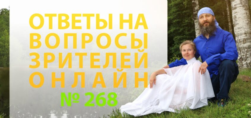 Онлайн Встреча №268