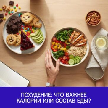 Похудение: что важнее — калории или состав еды?
