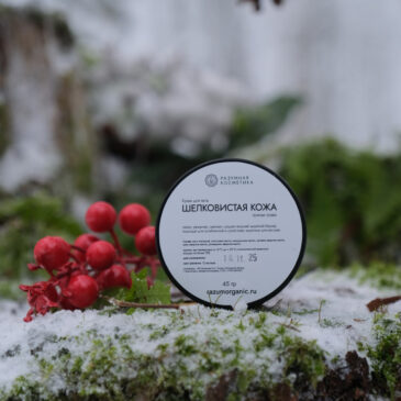 эфир Разумных Технологий пройдёт 17 января