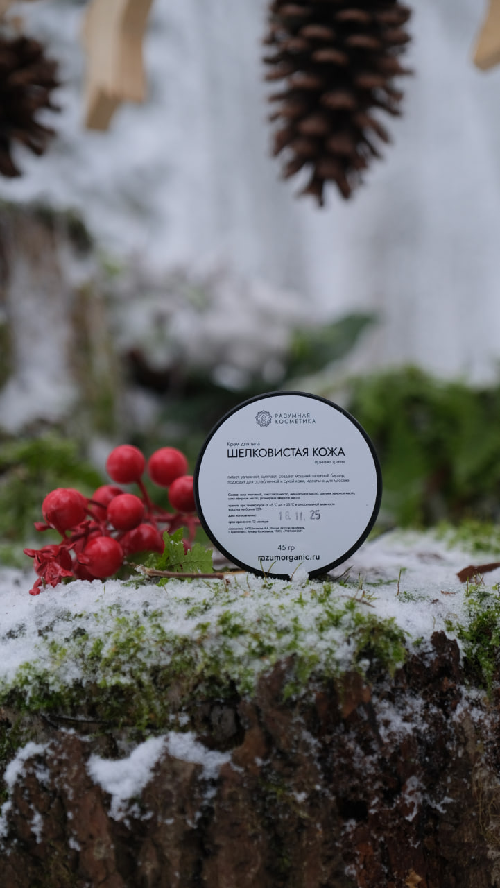 эфир Разумных Технологий пройдёт 17 января