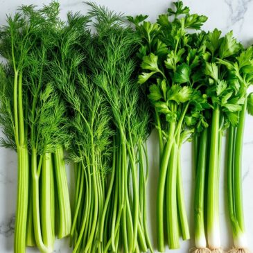 Заметка про ядовитый кислород или зачем нам антиоксиданты