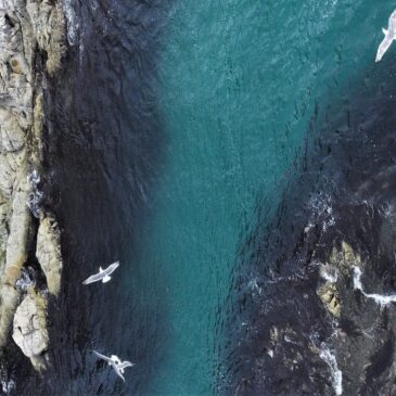 6 видео Разумного Человечества про разумное взаимодействие с природой