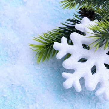 7 видео Разумного Человечества про Новый год и Рождество