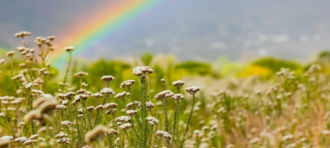 Воплощение Высокоразвитых Существ На Земле