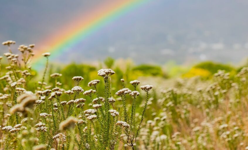 Воплощение Высокоразвитых Существ На Земле