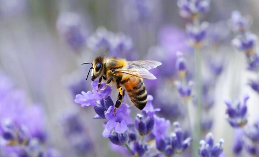 Брать Ответственность За Свою Жизнь