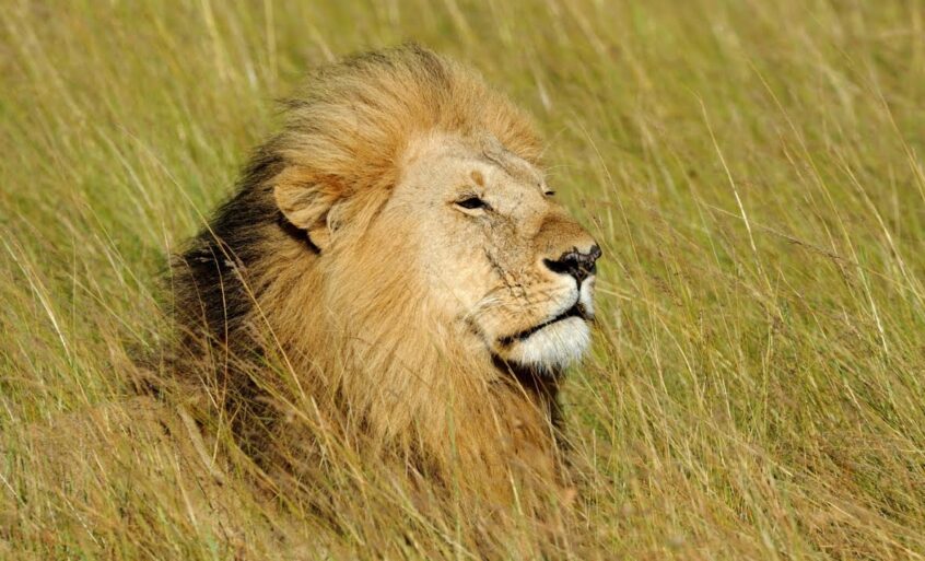 11 видео Разумного Человечества о гордыне и о том, как с ней работать